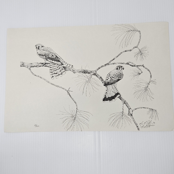 Harris Hawk Bird Art Prints Numbered & Artist Signed Wildlife Set Of 3 - Picture 9 of 16